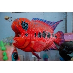 Tượng Cá Mô Hình Composite Trang Trí 