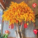 Gợi ý mẫu mô hình cây mai vàng Tết mút xốp phù hợp nhiều không gian